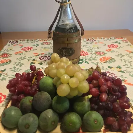 Διαμέρισμα Place Τρέμπινιε